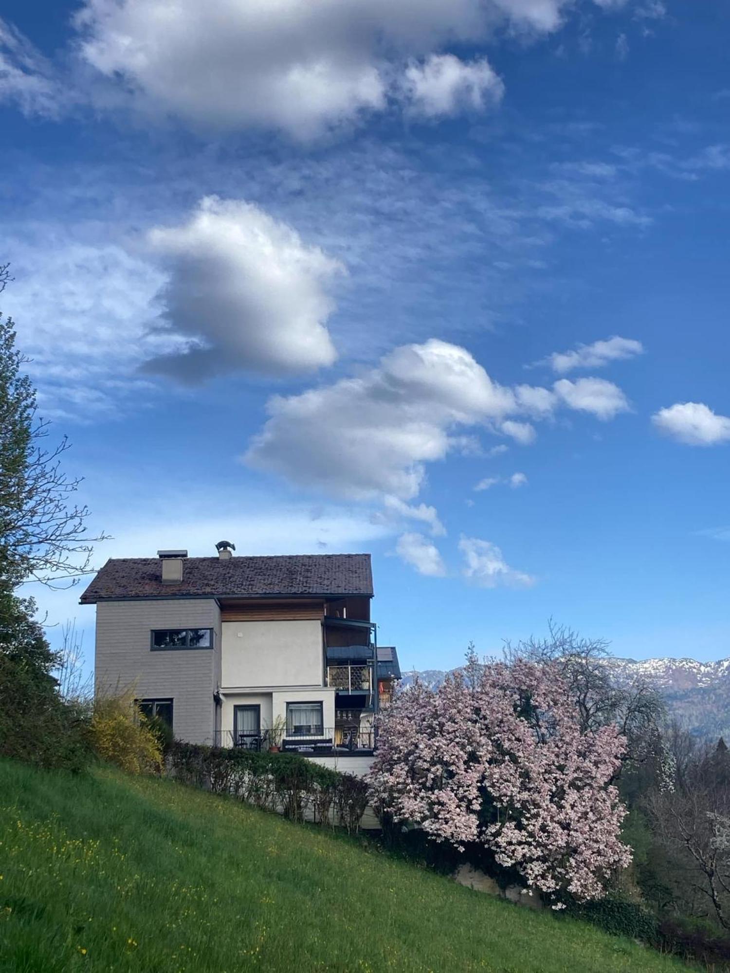 Wolfgangsee Appartment Saint Wolfgang Exteriér fotografie